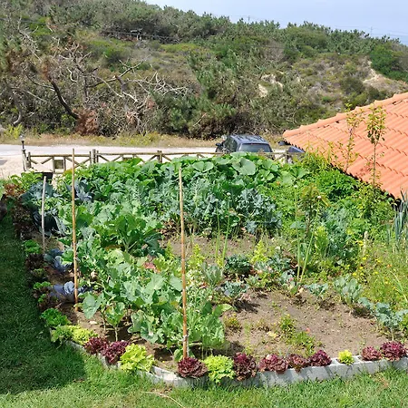 Residencia Agua De Madeiros