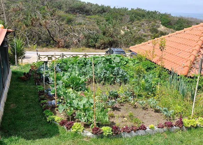 Residencia Agua De Madeiros